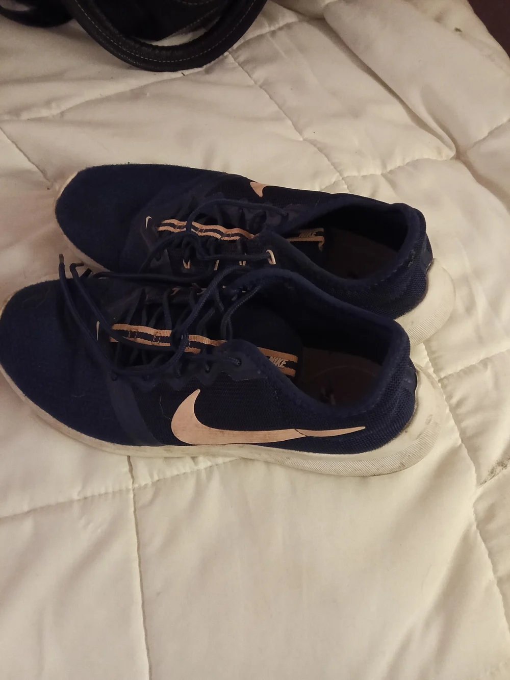 Nike Women's Navy and Light Pink Running Shoes